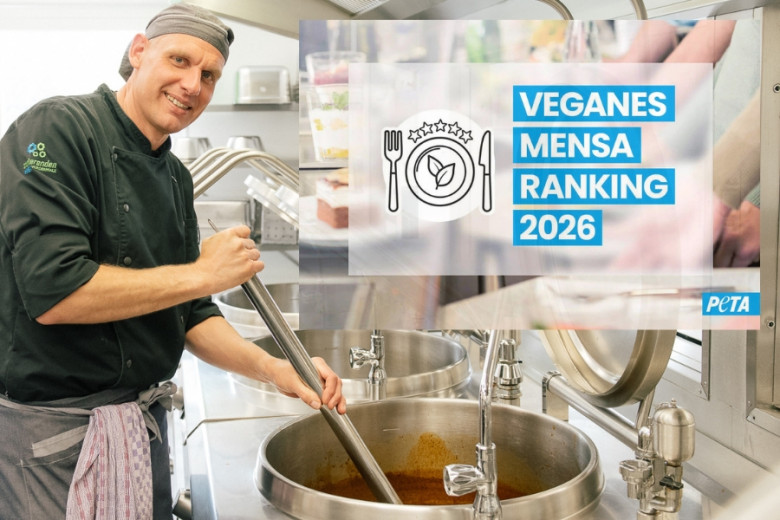 Silber beim PETA Mensa-Ranking 2026