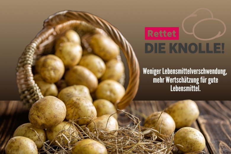Rettet die Knolle!